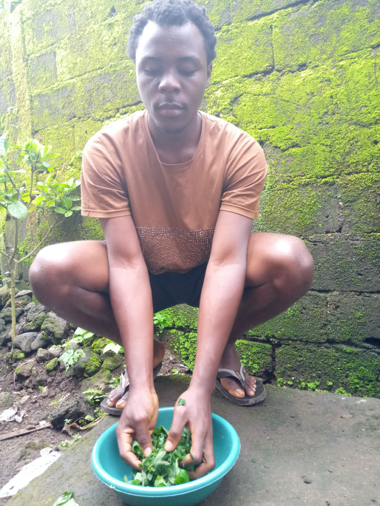 African Traditional Medicine Day – 31st August - The Katchoua Foundation