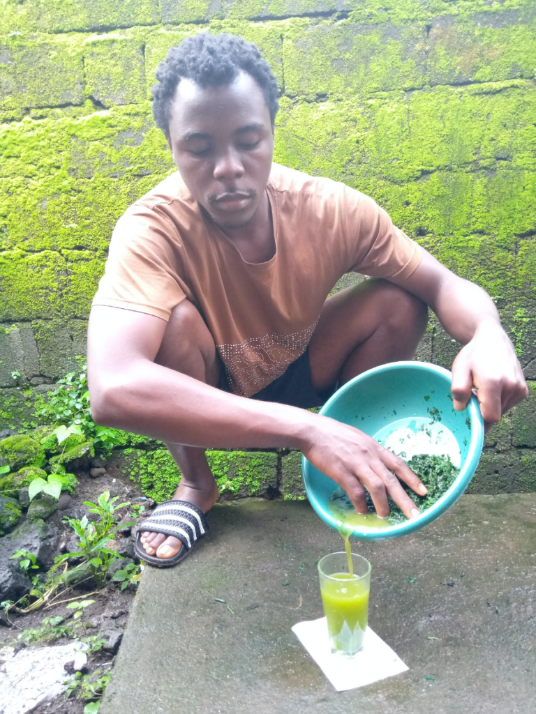 African Traditional Medicine Day – 31st August - The Katchoua Foundation